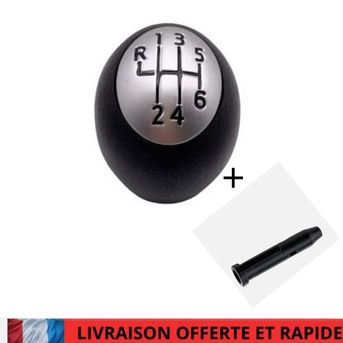 Pommeau levier vitesse - levier,