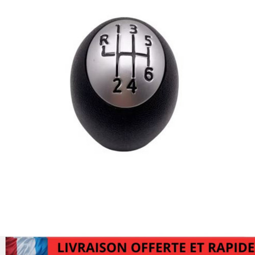 Pommeau levier vitesse - 6,
